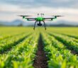 Startups im Precision Farming – Innovation für die Landwirtschaft d er Zukunft (Foto: AdobeStock - 913576282 Pachara)