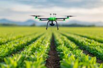 Startups im Precision Farming – Innovation für die Landwirtschaft d er Zukunft (Foto: AdobeStock - 913576282 Pachara)